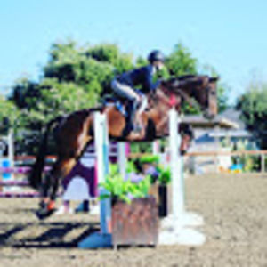 Meet your Posher, Marin